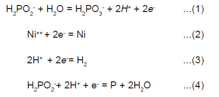Anti Aging Ingredients By Age Group