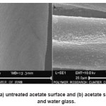 Fig. 5: SEM images of (a) untreated acetate surface and (b) acetate surface treated with HDTMS and water glass.