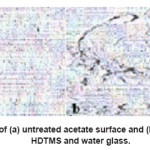 Fig. 6: AFM micrographs of (a) untreated acetate surface and (b) acetate surface treated with HDTMS and water glass.