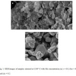 Fig. 1: SEM images of samples sintered at 1100° C with Mo concentration (a) x = 0.0, (b)x = 0.1, and (c)x = 0.2. 