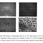 Figure-6: SEM image of sexithiophene films (a) at 77K (small grains of 10-30 nm), (b) Room temperature (isotropic grains with a diameter of 50nm), (c) at 190˚C (elongated grains of 30 x 200 nm2), and (d) at 260˚C (50 nm wide small plate connected with each other) [9].