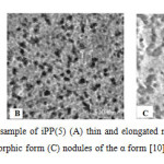Figure-7: AFM phase of sample of iPP(5) (A) thin and elongated morphology of the γ form (B) nodules of the mesomorphic form (C) nodules of the α form [10].