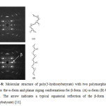 Figure-8: Molecular structure of poly(3-hydroxybutyrate) with two polymorphic forms, 21 helix for the α–form and planar zigzag conformations for β-form. (A) α–form (B) both α– and β-form. The arrow indicates a typical equatorial reflection of the β-form of poly(3-hydroxybutyrate) [11].