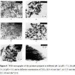 Figure-9: TEM micrographs of the products prepared at different pH: (a) pH = 7.1, (b) pH = 3.4, (c) pH = 0.0, and at different concentration of TiCl4 (d) 0.44 mol dm-3, (e) 0.53 mol dm-3, (f) 1.40 mol dm-3 [15]. 