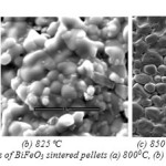 Fig:10.  SEM images of BiFeO3 sintered pellets (a) 8000C, (b) 8250C and (c) 850ºC