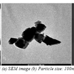 Fig.15 (a) SEM image (b) Particle size: 100nm (c) SAED.