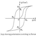 Fig. 2 Hysteresis loop showing polarization switching in Ferroelectric materials.