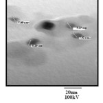 Fig. 3.10 TEM image of PANI-ZnO composite