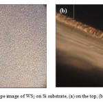Fig.1: Optical microscope image of WS2 on Si substrate, (a) on the top, (b) at the edge (100x100m).