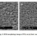 Fig. 3: SEM morphology image of WS2 on (a) Steel  and (b) on Si