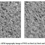 Fig.4: AFM topography image of WS2 on Steel (a) Steel and (b) on Si