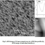 Fig.5. AFM image of 10 m scanned area (a), AFM line profile (b), AFM image of individual lamella (c)