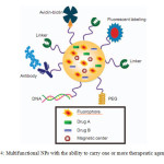 Figure 4: Multifunctional NPs with the ability to carry one or more therapeutic agents[89].