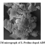 Fig-5: SEM micrograph of L-Proline doped ADP crystal