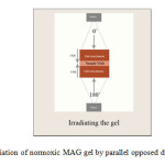 Figure 2: The irradiation of normoxic MAG gel by parallel opposed dual beam technique