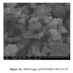                                   Figure 2a: SEM image of PANI:GRA=90.55:9.45