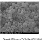 Figure 2b: SEM image of PANI:GRA=807625:19.238