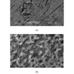 Figure 6 - SEM images of brass surface after 6 h immersion in 0.1N H3PO4 in the absence (a) and presence (b) of CAE
