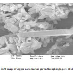 Figure4: A SEM image of Copper  nanostructure  grown through single-pore of Makrofol-KG.
