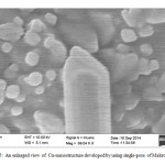 Figure5: An enlarged view of  Cu-nanostructure developed by using single-pore of Makrofol-KG.