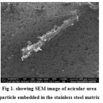 Fig 1. showing SEM image of acicular urea  particle embedded in the stainless steel matrix