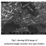 Fig 2. showing SEM image of  preheated sample (acicular urea space holder)