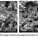 Fig 3. showing SEM image of sintered sample (acicular urea space holder)