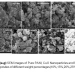 Figure 4 (a-g):SEM images of Pure PANI, CuO Nanoparticles and PANI-CuO  nanocomposites of different weight percentages(10%,15%,20%,25%, & 30% of CuO)