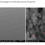 Figure 3: SEM micrographs of Al 6061 matrix alloy and TiO2 particles 