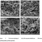 Figure 5 Fracturemorphologyof Si3N4-BNcompositewithdifferent BNcontent. a)SNB0;b)SNB5;c)SNB10;d)SNB15.