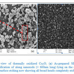 Figure 2: Top view of thermally oxidized Cu2O; (a) As-prepared SEM showing a magnification of along nanorods (> 600nm long) lying on the surface and (b) after surface etching now showing all broad heads completely etched. 