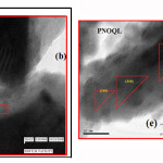 Figure 6 TEM diffraction pattern (a) and images of different atomic planes of PNOQL sample (b, c, e and f) and inset view of XRD (d). It shows <130> planes in (b) and (c), <310> plane in (e), and <111>, <020>, <240> and <220> planes in (f).