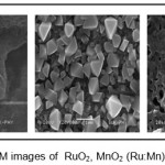 Figure 3. SEM images of  RuO2, MnO2 (Ru:Mn)O2  thin films