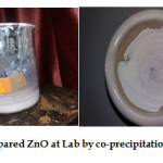Fig2. Prepared ZnO at Lab by co-precipitation method