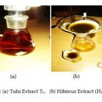 Fig 4: (a) Tulsi Extract T1,   (b) Hibiscus Extract (H1,H2)