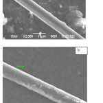 Fig. 4: SEM micrograph a) uncoated carbon fiber diameter; b) Coated carbon fiber diameter.
