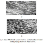 Fig. 7: SEM of the tensile specimen shows (a) fractured short Basalt fibers and (b) fiber puIl out from the specimen.