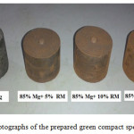 Fig.1 Photographs of the prepared green compact specimens