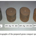 Fig.1 Photographs of the prepared green compact specimens