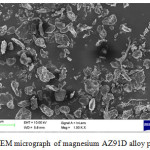 Fig.2.SEM micrograph of magnesium AZ91D alloy particles