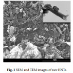 Fig. 1 SEM and TEM images of raw HNTs.