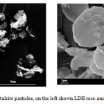 Fig. 2 SEM of two hydrotalcite particles, on the left shown LDH rose and on the right the flat type.