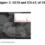 Figure 2: SEM and EDAX of NiO