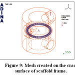 Figure 9: Mesh created on the crack surface of scaffold frame