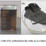 Fig. 4. Graphite oxide (GO) synthesized in this study (a) as a dispersion, and (b) as a paper-like film
