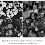 Figure 3. Typical SEM micrographs of the a) undoped, b) 1%, c) 2% and d) 5% Nb-doped ZnO nanostructures.