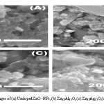 Fig 4: SEM images of (a) Undoped ZnO -NPs, (b) Zn0.8Al0.2O, (c) Zn0.8Ag0.2O,(d) Zn0.6Al0.2Ag0.2O