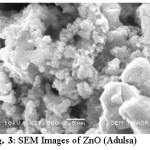 Fig. 3: SEM Images of ZnO (Adulsa)