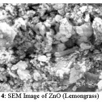 Fig. 4: SEM Image of ZnO (Lemongrass)