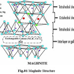 Figure 1: IR-FT spectra of the Mag-Na, Mag-Cu and the nanocomposites (P4ABA/Mag-Cu, PANI/Mag-Cu and P(4aba-co-ani)/Mag-Cu).